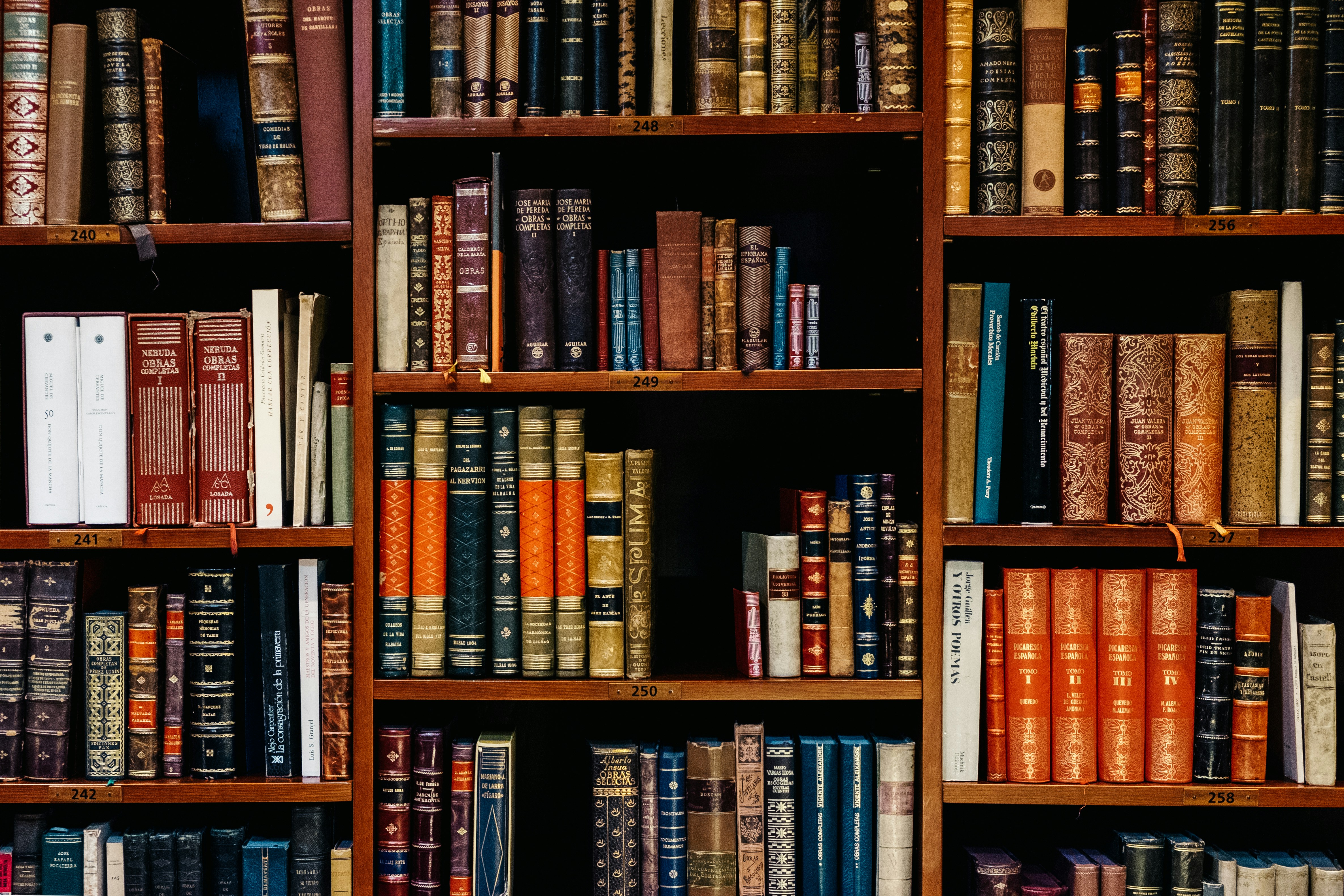 Library shelves with books
