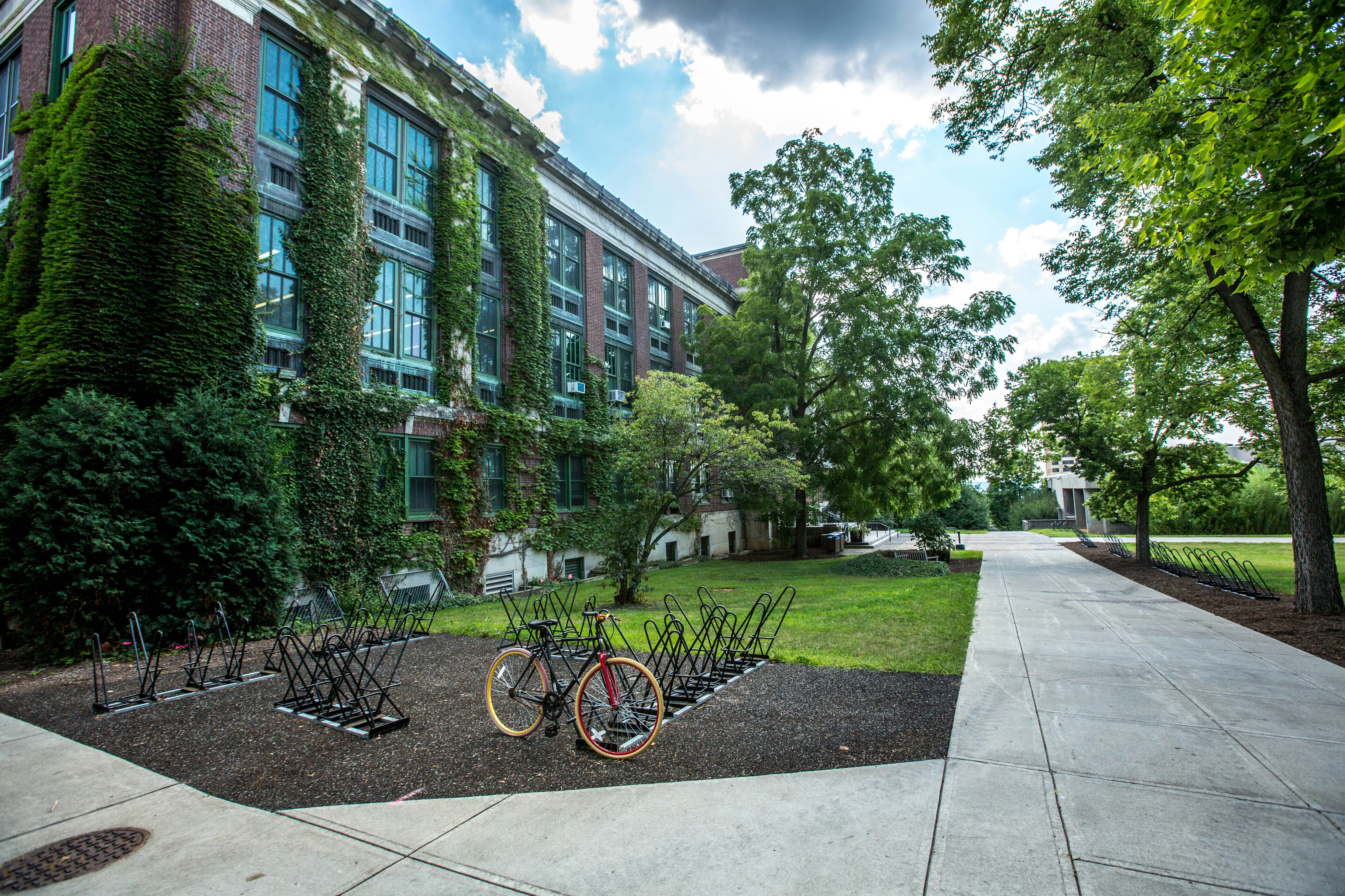 Ivy-covered campus building